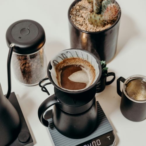 A coffee maker, a cactus plant, and a freshly brewed cup of coffee.