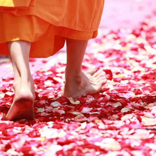 a close up of a person's feet with petals on the ground