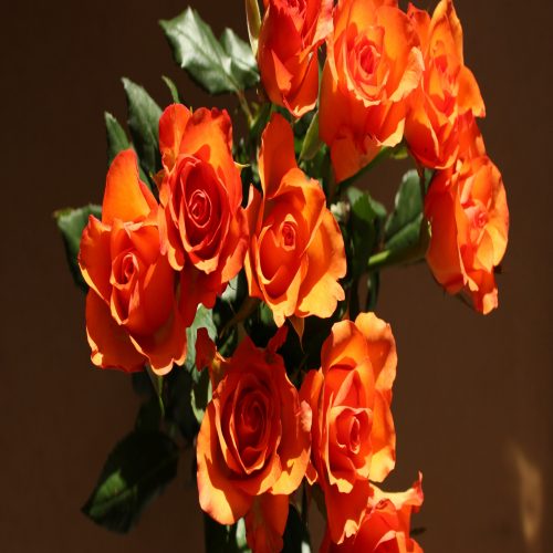 a vase filled with orange roses on top of a table