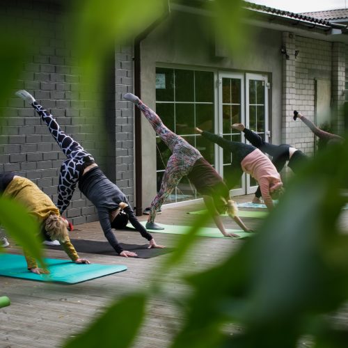 Group of people practicing yoga poses in a serene place.