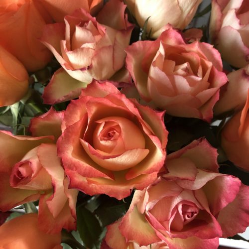 A bouquet of orange roses.