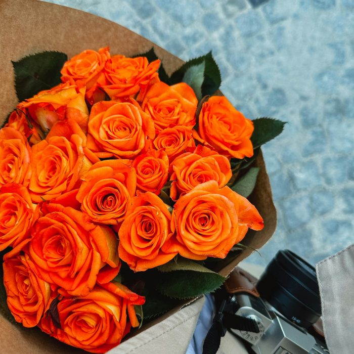 orange roses